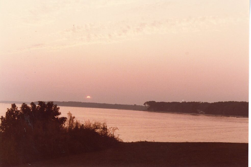 This photo is of a medium-sized body of water. The sun is setting in the background and reflecting off of the water. There is a bush in the foreground on the left. 