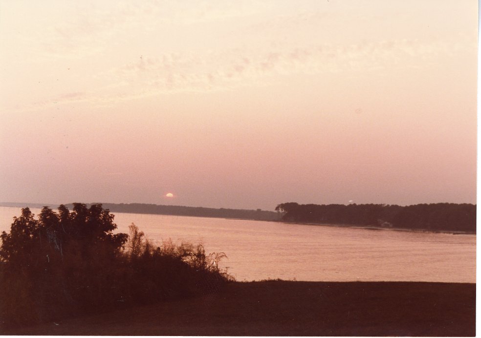 This photo is of a medium-sized body of water. The sun is setting in the background and reflecting off of the water. There is a bush in the foreground on the left. 